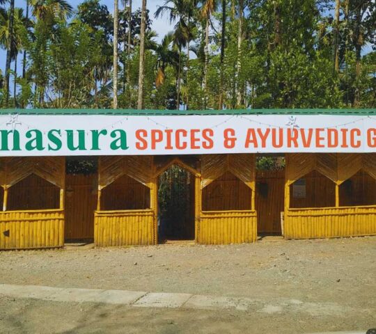 Banasura Ayurvedic & Spices Garden