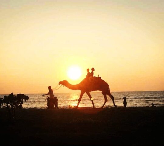 Bekal Beach