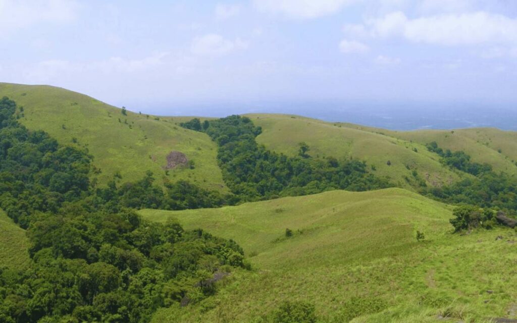 Brahmagiri Hills