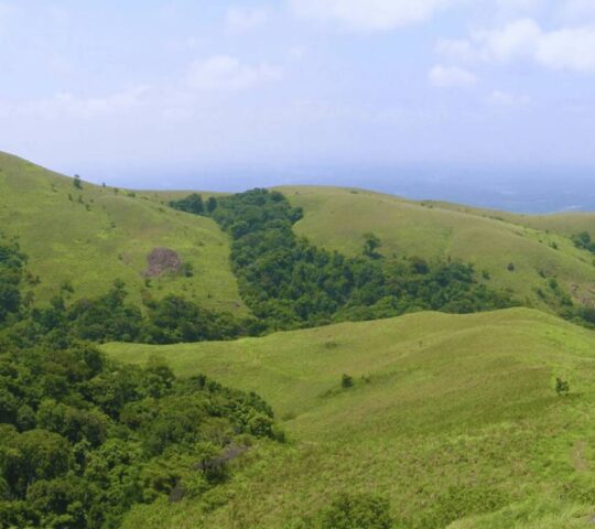 Brahmagiri Hills