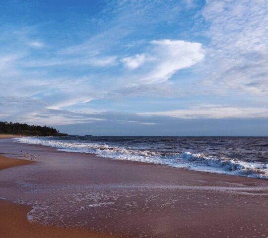 Munambam Beach