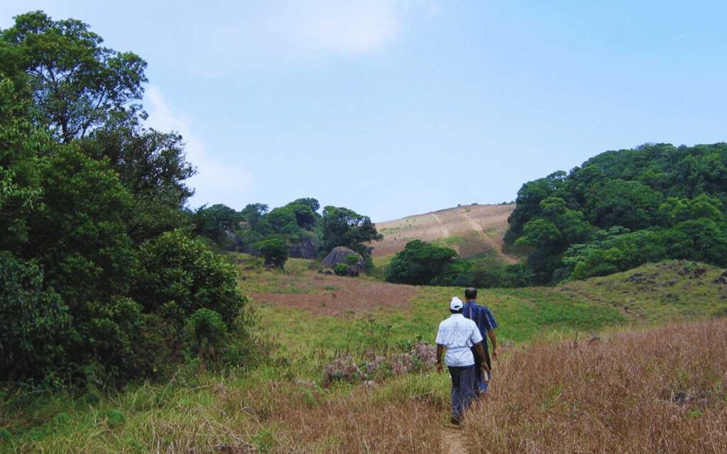 Pakshipathalam Bird Sanctuary