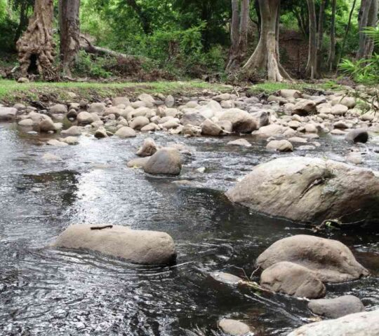 Chinnar River