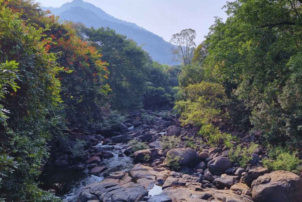 Kakkadampoyil: A Serene Retreat in the Western Ghats