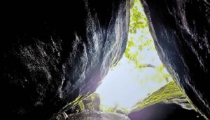Exploring The Natural Wonders Of Mankulam In Idukki • Tripinic