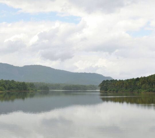 Periyar River