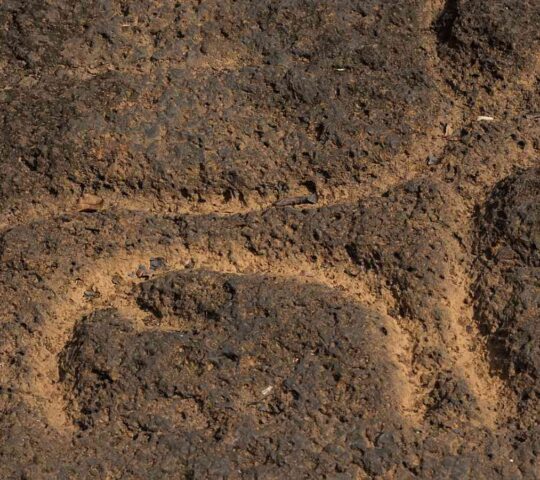 Usgalimal Rock Art