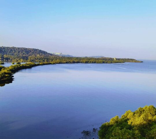 Mandovi River