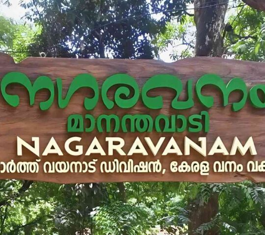 Nagaravanam