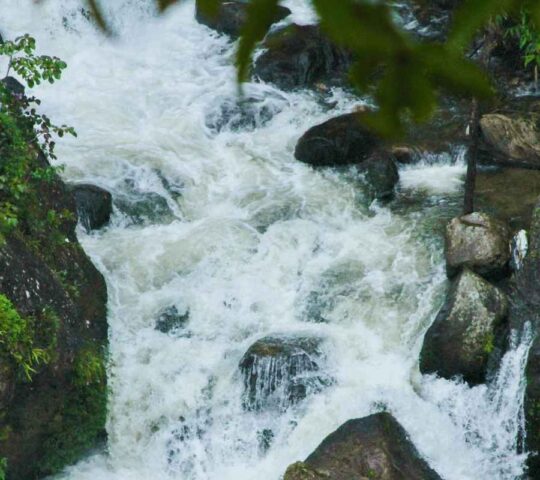 Pattiyattu Waterfall