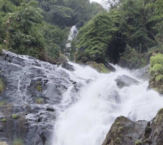 Tambdi Surla Waterfalls