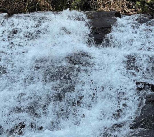 Kanayi Kanam Waterfalls