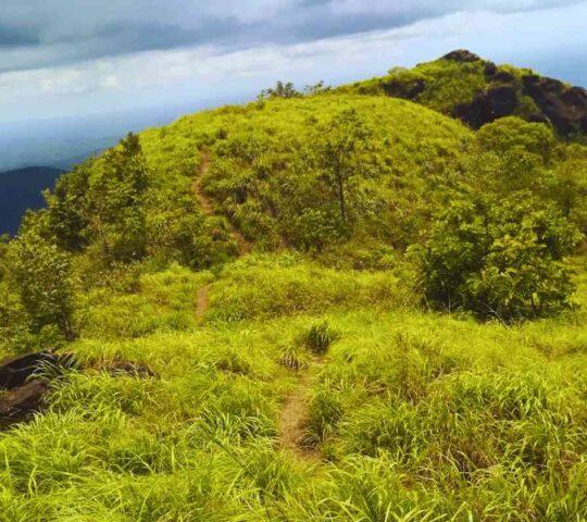 Mount Kottathalachi