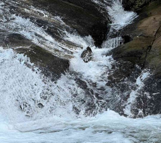 Vadattupara Waterfalls