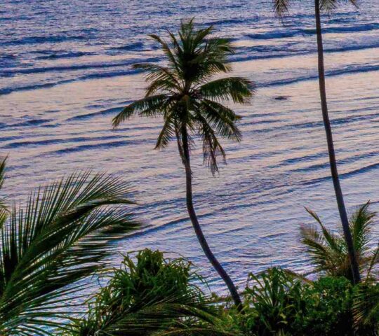 Hansa Beach