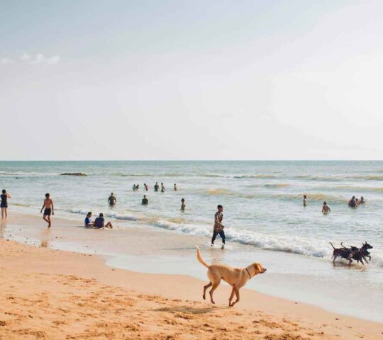 Varca Beach