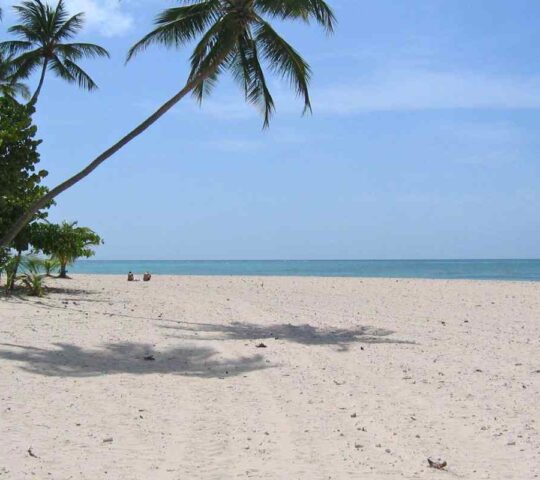 Zalor Beach