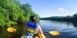 Chapora Mangroves Kayaking Goa