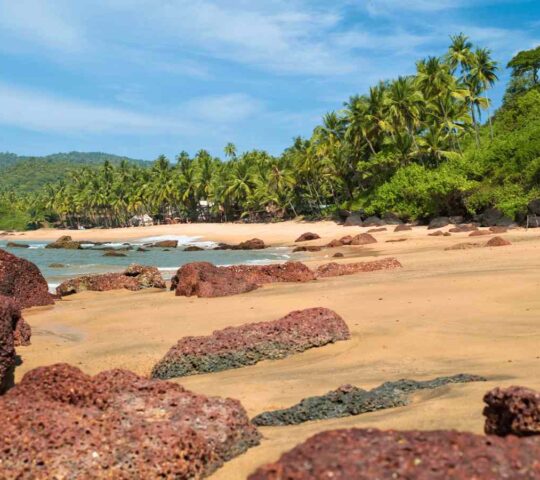 Bambolim Beach