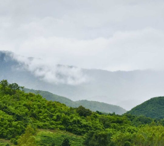 Manjampothikunnu