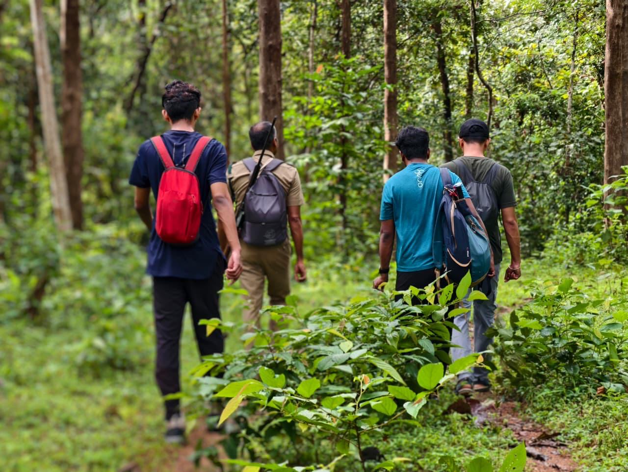 Chimmini Wildlife Sanctuary Trek