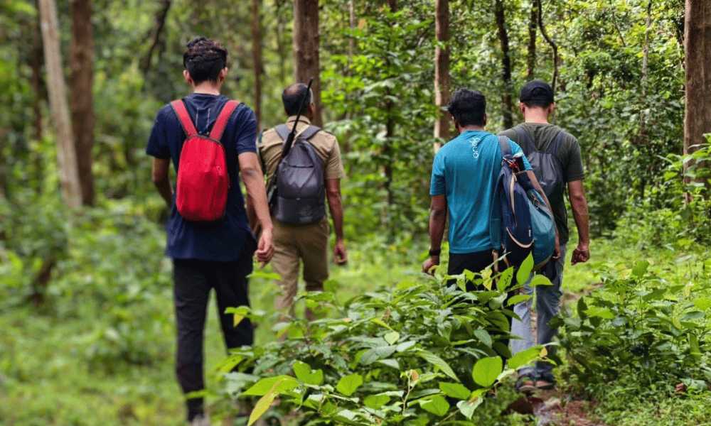Chimmini Wildlife Sanctuary Trek