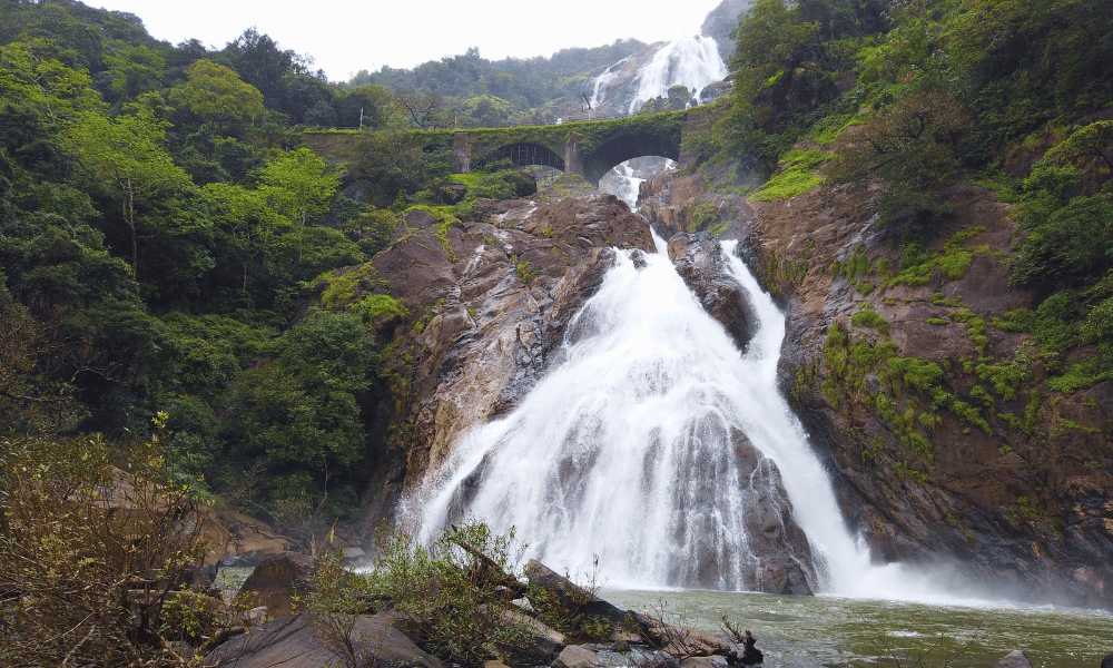 Dudhsagar Waterfall Trek - Tripinic Adventures