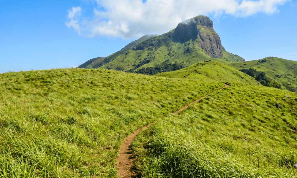 Gangadikkal Trek