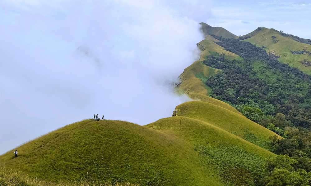 Netravati Peak Trek-Tripinic Adventures