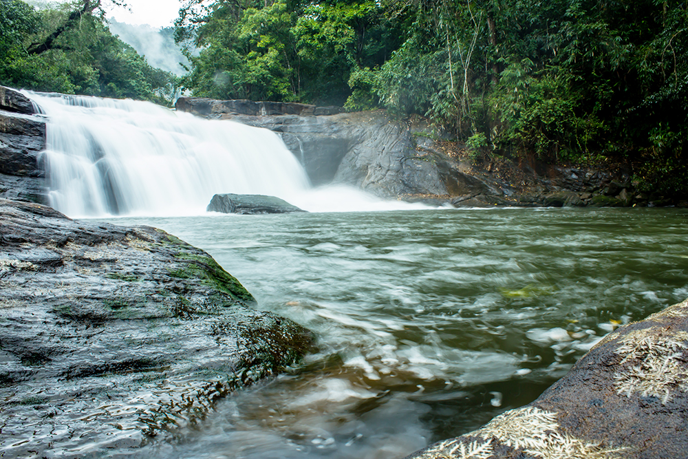 Thommankuth Waterfalls Trek