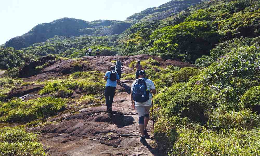 Agasthyarkoodam Trek